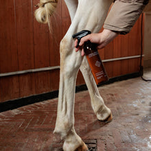 Load image into Gallery viewer, Grooming Deluxe Green Spot &amp; Dust Remover Almond 500ml
