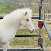 Load image into Gallery viewer, Grooming Deluxe Wooden Relax Horse Toy - De-Stress
