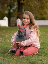 Load image into Gallery viewer, LeMieux Toy Pony Fly Hood Spiced Earth
