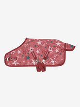 Load image into Gallery viewer, Toy Pony Printed Turnout Rug Spiced Earth
