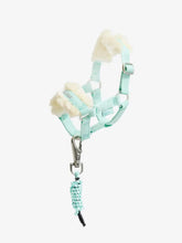 Load image into Gallery viewer, Harlow Toy Pony Headcollar &amp; Leadrope Softmint
