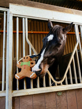 Load image into Gallery viewer, Horse Toy Gingerbread
