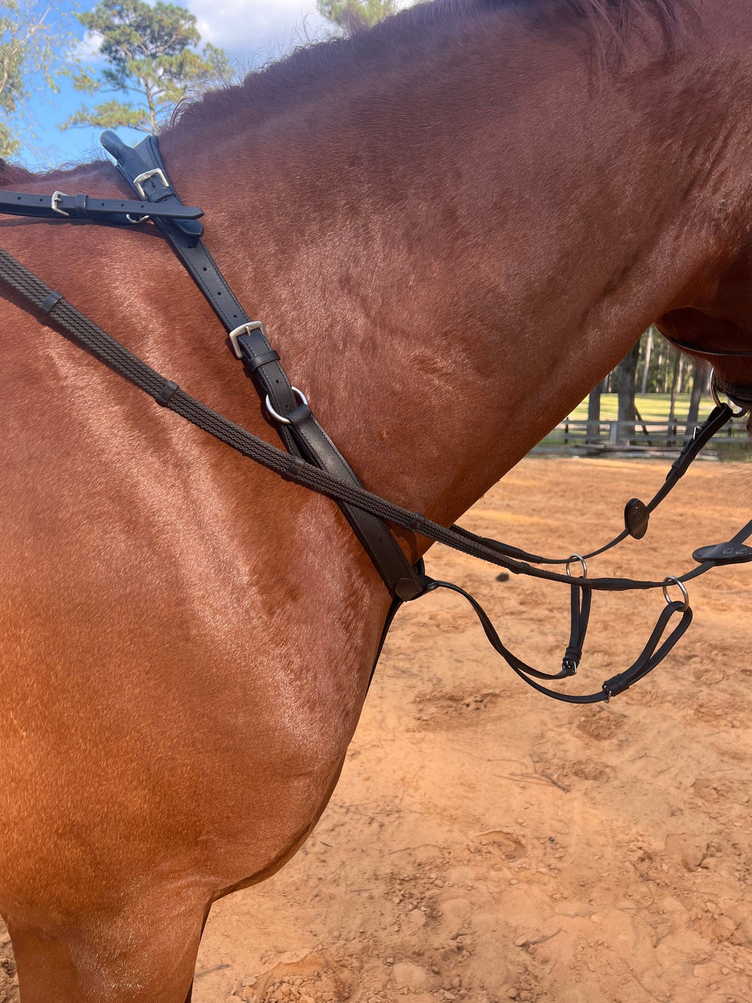Correct Connect Running Martingale for Double Neck Strap