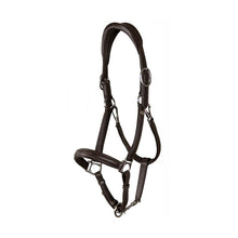 Load image into Gallery viewer, Dy’on Working Soft Leather Halter

