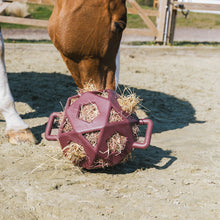 Load image into Gallery viewer, Kentucky Horsewear Relax Horse Play Hay Ball
