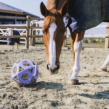 Load image into Gallery viewer, Kentucky Horsewear Relax Horse Play Hay Ball
