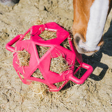 Load image into Gallery viewer, Kentucky Horsewear Relax Horse Play Hay Ball
