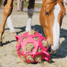 Load image into Gallery viewer, Kentucky Horsewear Relax Horse Play Hay Ball
