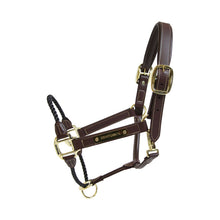 Load image into Gallery viewer, Kentucky Horsewear Rope Halter Brown
