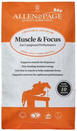 Allen & Page Muscle & Focus