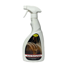 Load image into Gallery viewer, Smart Grooming Quarter Marking Spray 500ml
