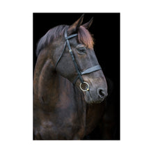 Load image into Gallery viewer, EcoRider Classic Show Hunter Bridle
