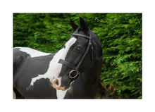 Load image into Gallery viewer, EcoRider Classic Show Hunter Bridle
