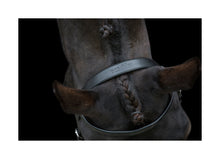 Load image into Gallery viewer, EcoRider Classic Show Hunter Bridle
