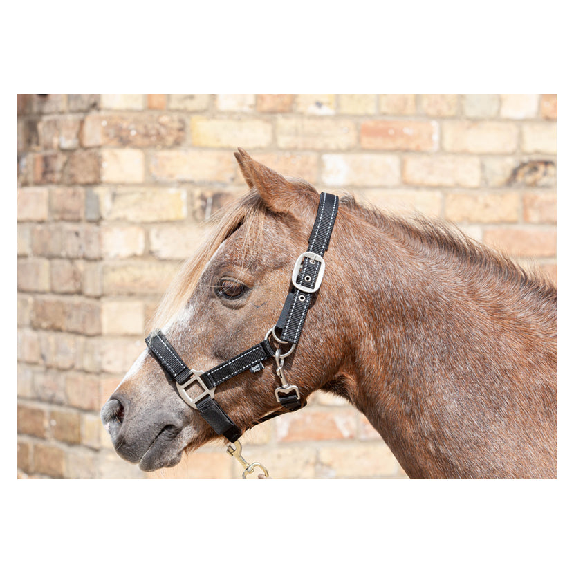 Cameo Fieldsafe Headcollar