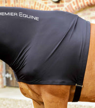 Load image into Gallery viewer, Premier Equine Stretch Lycra Hood
