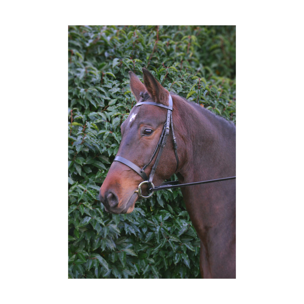 Hy Equestrian Hunter Bridle with Rubber Grip Reins