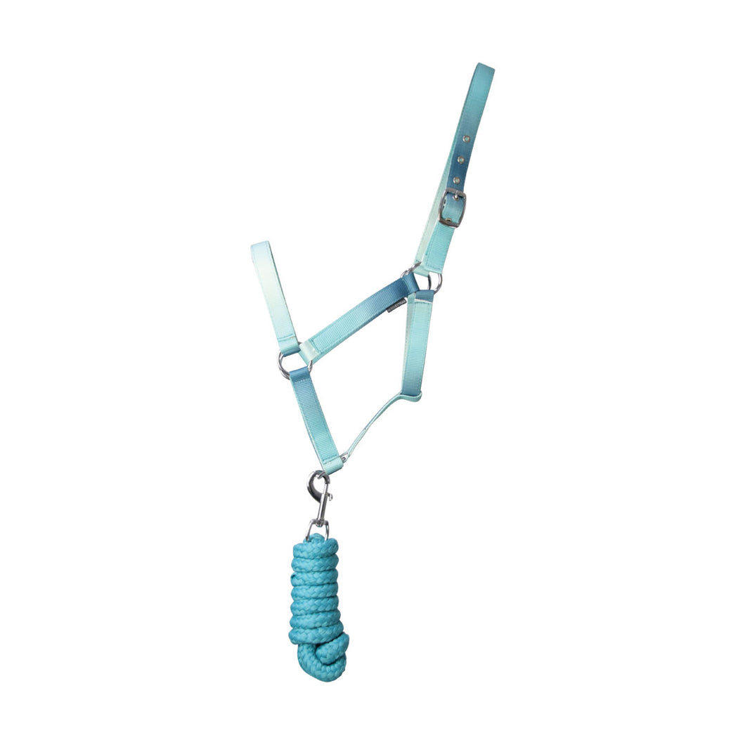 Hy Equestrian Ombre Head Collar and Lead Rope