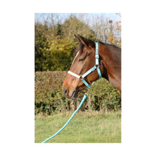 Load image into Gallery viewer, Hy Equestrian Ombre Head Collar and Lead Rope
