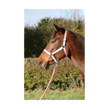 Load image into Gallery viewer, Hy Equestrian Ombre Head Collar and Lead Rope
