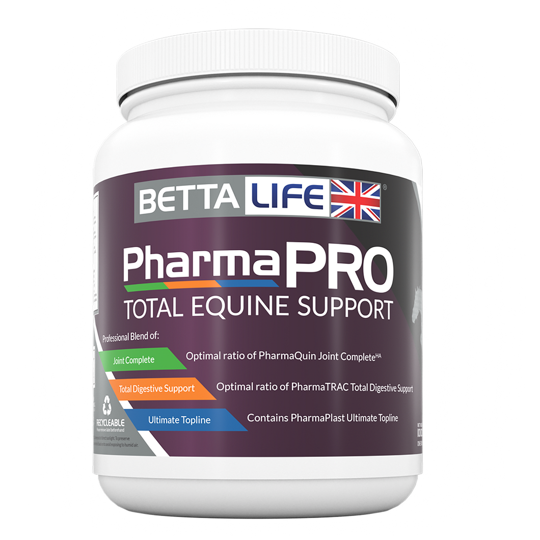 BettaLife PharmaPRO Equine Support 1kg