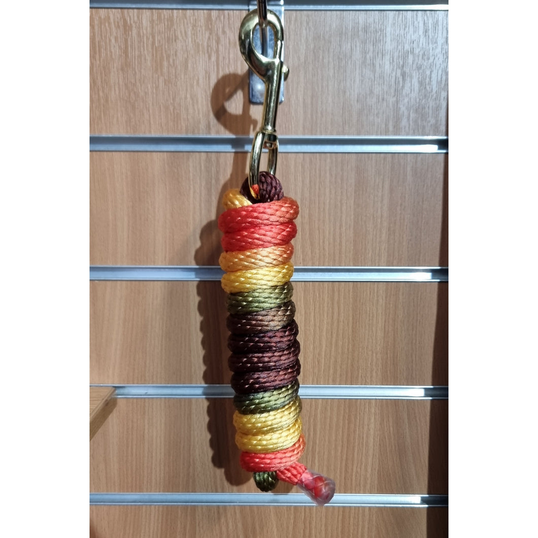 Earth Stone Lead Rope