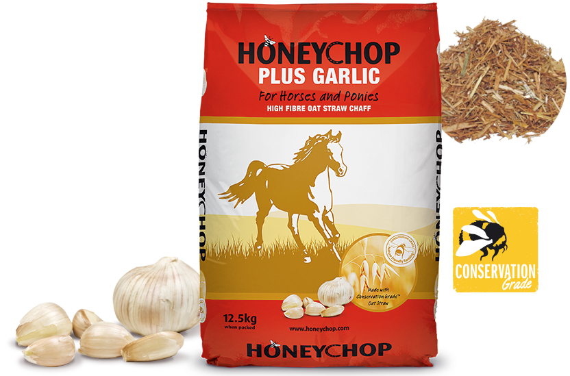 HoneyChop with Garlic