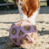 Load image into Gallery viewer, Kentucky Horsewear Relax Horse Play Hay Ball
