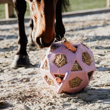 Load image into Gallery viewer, Kentucky Horsewear Relax Horse Play Hay Ball
