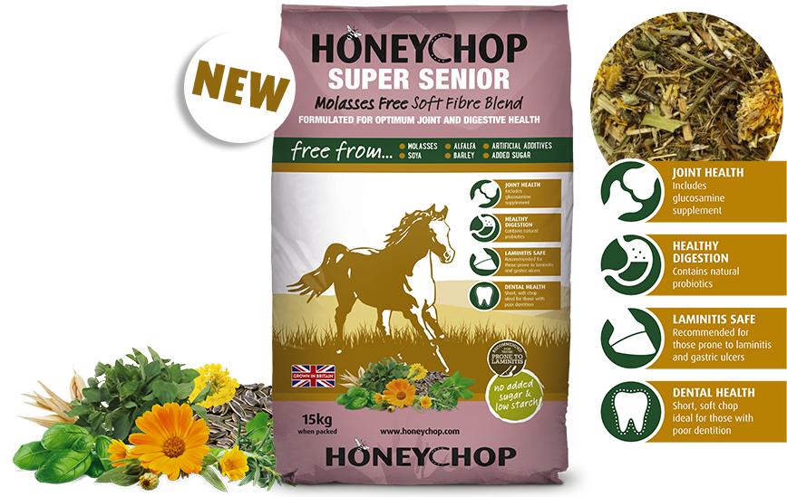 HoneyChop Super Senior