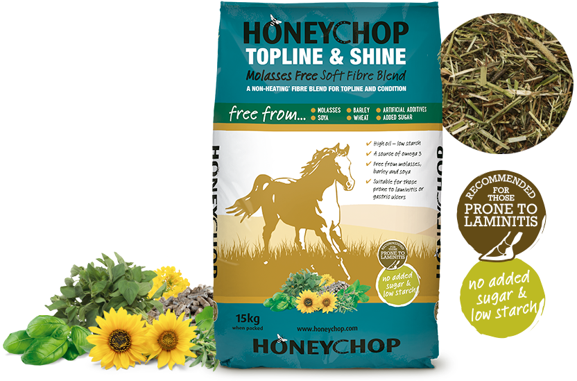 HoneyChop Topline & Shine