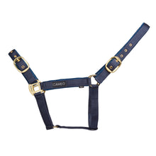 Load image into Gallery viewer, Cameo Suede Padded Headcollar
