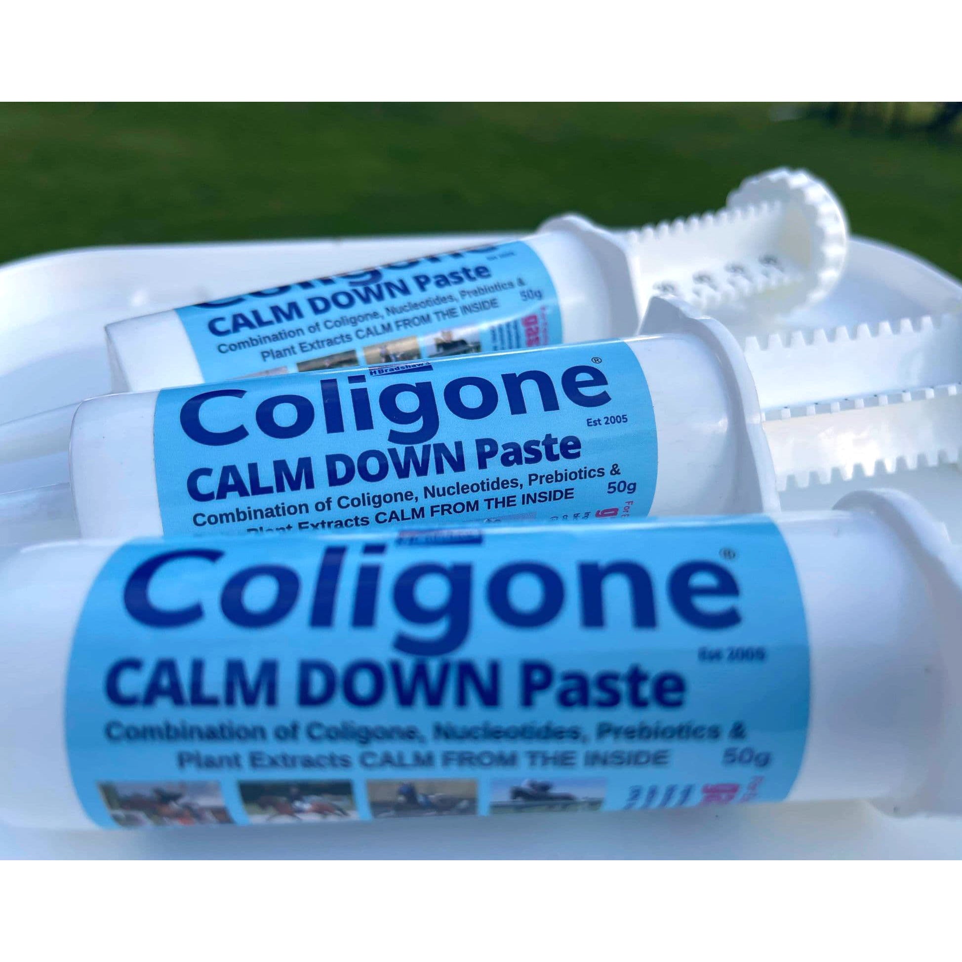 Coligone Calm Down Paste – Horse & Rider Equestrian Retailer