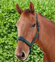 Load image into Gallery viewer, Premier Equine Duco Padded Head Collar With Lead Rope
