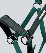 Load image into Gallery viewer, Premier Equine Duco Padded Head Collar With Lead Rope
