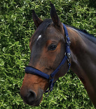 Load image into Gallery viewer, Premier Equine Duco Padded Head Collar With Lead Rope
