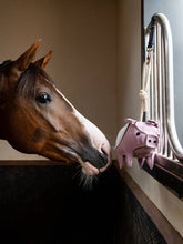 Load image into Gallery viewer, LeMieux Horse Toy Flying Pig
