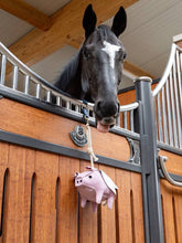 Load image into Gallery viewer, LeMieux Horse Toy Flying Pig
