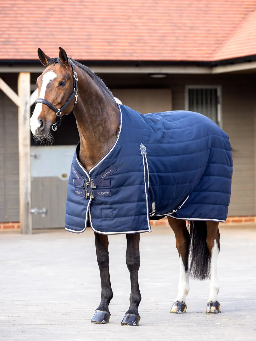 LeMieux Kudos stable rug 100g
