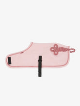 Load image into Gallery viewer, LeMieux Toy Pony Rug Blossom
