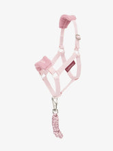Load image into Gallery viewer, LeMieux Hobby Horse Vogue Headcollar &amp; Leadrope Blossom
