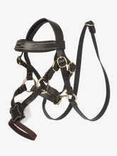 Load image into Gallery viewer, LeMieux Toy Pony Grackle Bridle
