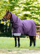 Load image into Gallery viewer, LeMieux Arika Ripstop 200g Turnout Rug Juniper
