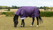 Load image into Gallery viewer, LeMieux Arika Ripstop 200g Turnout Rug Juniper
