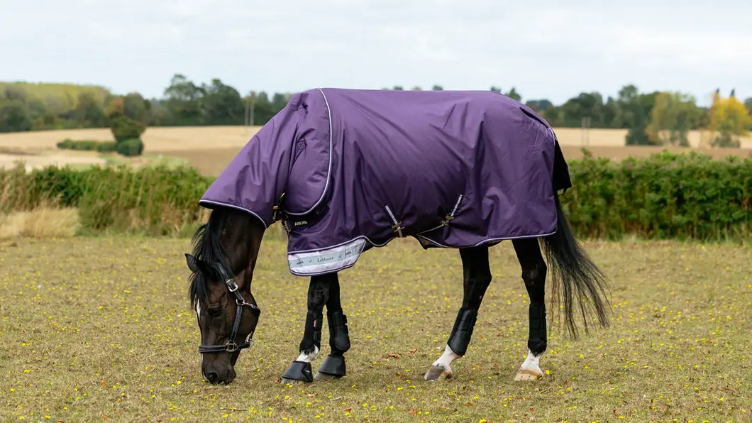 LeMieux Arika Ripstop 200g Turnout Rug Juniper