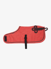Load image into Gallery viewer, LeMieux Toy Pony Rug Cranberry
