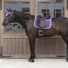 Load image into Gallery viewer, Kentucky Horsewear Fly Veil Wellington Velvet Contrast
