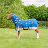 Load image into Gallery viewer, StormX Original 200 Combi Turnout Rug - Thelwell Collection Jumps

