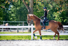 Load image into Gallery viewer, Winderen Saddle Pad Dressage Malachite/Silver
