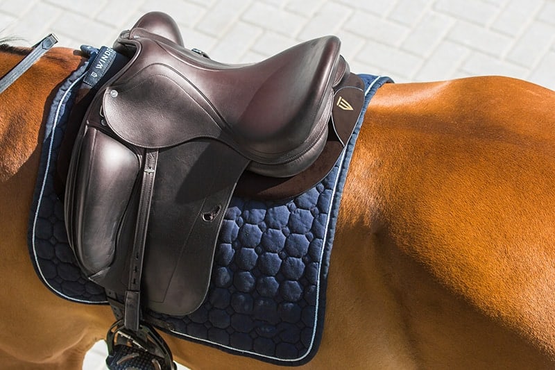 Winderen Pad Dressage Slim buy